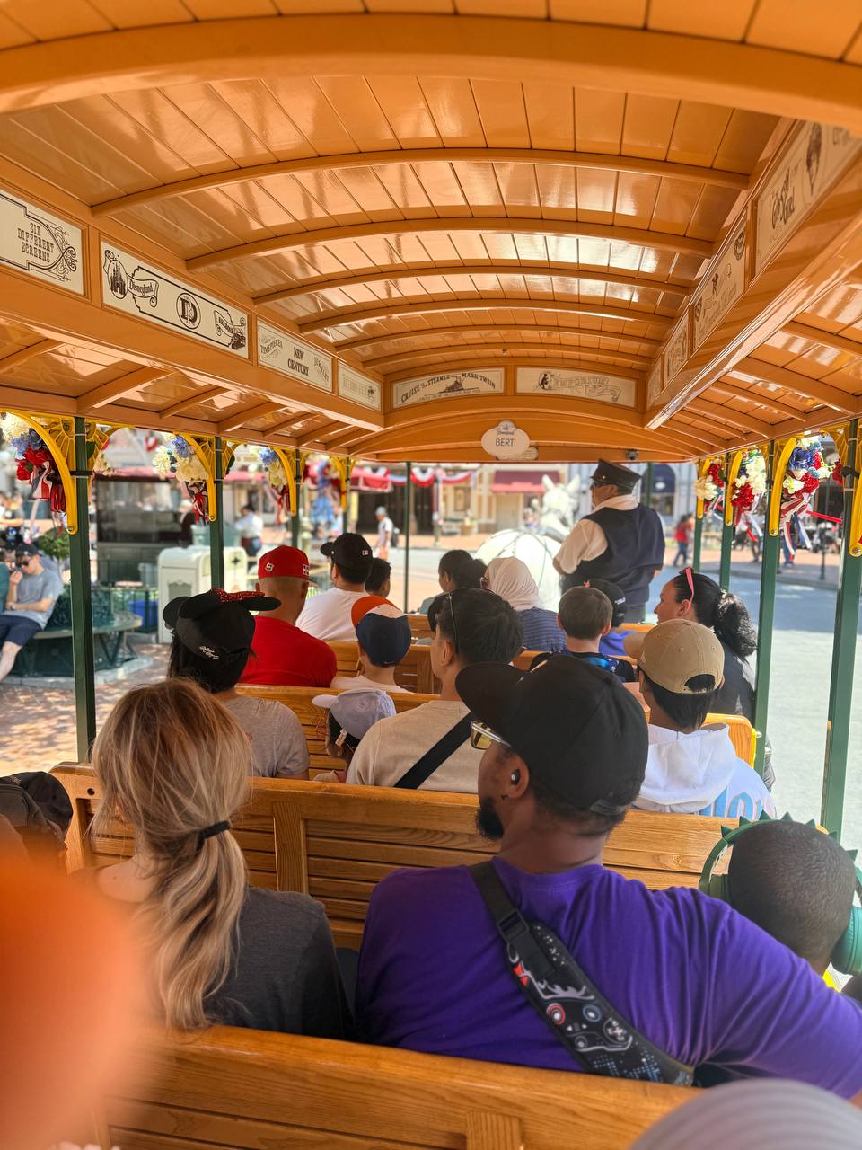 View from inside the Disneyland horse-drawn streetcar